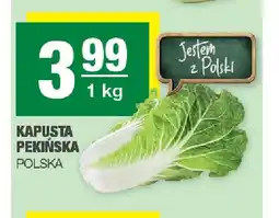 Spar Kapusta pekińska polska oferta