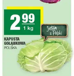 Spar Kapusta gołąbkowa polska oferta