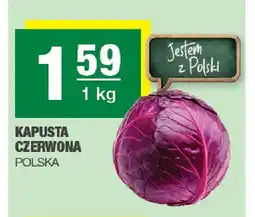 Spar Kapusta czerwona polska oferta