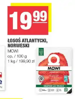 Spar Łosoś atlantycki norweski Mowi oferta