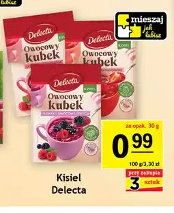 Gram Market Kisiel Owocowy Kubek o smaku owoców leśnych Delecta oferta