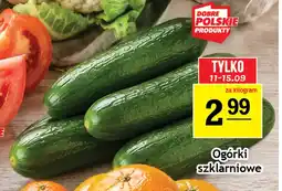 Gram Market Ogórki szklarniowe oferta