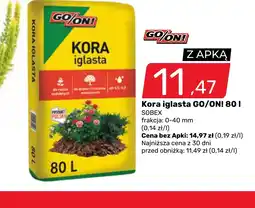 Bricomarche Kora iglasta GO/ON! oferta