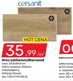 Bricomarche Gres szkliwiony Starwood oferta