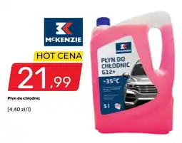 Bricomarche Płyn do chłodnic McKenzie G12+ oferta