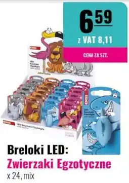 Eurocash Breloki LED: Zwierzaki Egzotyczne oferta