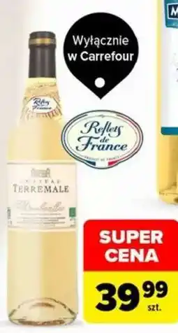 Carrefour Reflets de France Château Terremale oferta