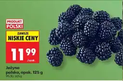Biedronka Jeżyna polska oferta