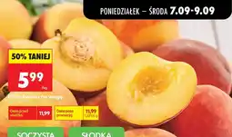 Biedronka Brzoskwinia oferta