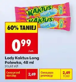 Biedronka Lody Kaktus Long oferta