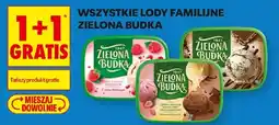 Biedronka Wszystkie Lody Familijne Zielona Budka oferta