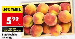 Biedronka Brzoskwinia oferta