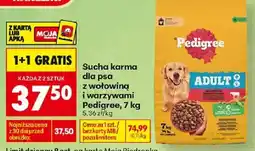 Biedronka Sucha karma dla psa z wołowiną i warzywami Pedigree oferta