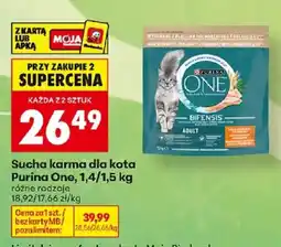 Biedronka Sucha karma dla kota Purina One oferta