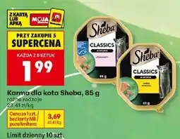 Biedronka Karma dla kota Sheba oferta