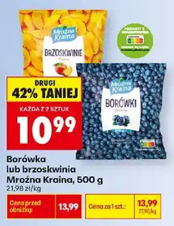 Biedronka Borówka lub brzoskwinia Mroźna Kraina oferta