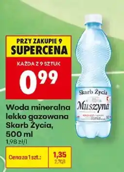 Biedronka Woda mineralna lekko gazowana Skarb Życia oferta