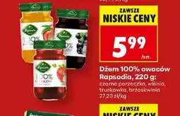 Biedronka Dżem 100% owoców Rapsodia oferta