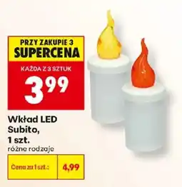 Biedronka Wkład LED Subito oferta