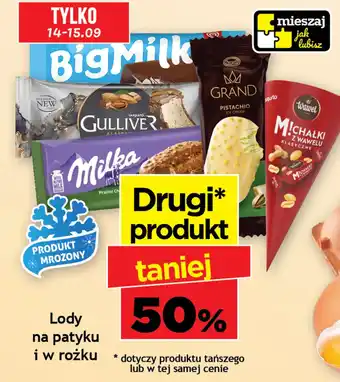 Lody na patyku i w rożku