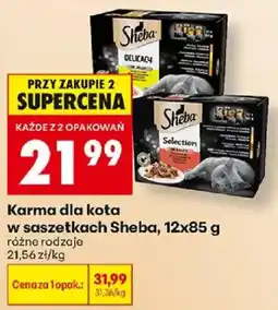 Biedronka Karma dla kota w saszetkach Sheba oferta