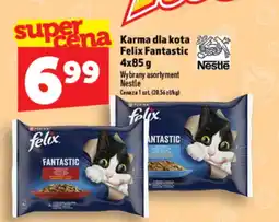 Topaz Express Karma dla kota Felix Fantastic oferta