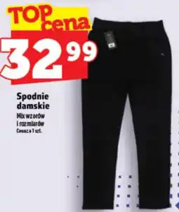 Topaz Express Spodnie damskie oferta