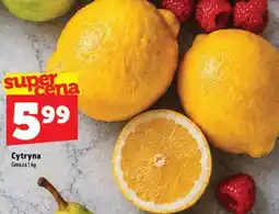 Topaz Express Cytryna oferta