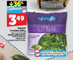Topaz Express Szpinak Freshline oferta