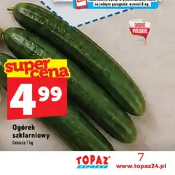 Topaz Express Ogórek szklarniowy oferta