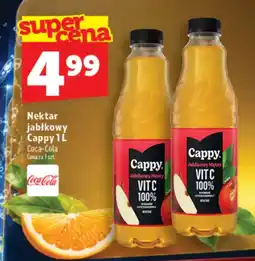 Topaz Express Nektar jabłkowy Cappy oferta