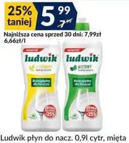 Sużyw Ludwik płyn do naczynia oferta