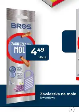 Mrówka Zawieszka na mole oferta