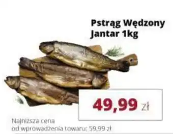 Pstrąg Wędzony Jantar
