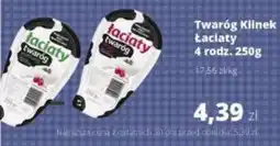 Torimpex Twaróg Łaciaty oferta