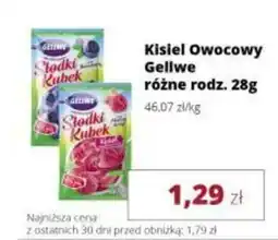 Torimpex Kisiel Owocowy Gellwe oferta
