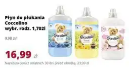 Torimpex Płyn do płukania Coccolino oferta