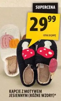 Arhelan Kapcie z motywem jesiennym (różne wzory)* oferta