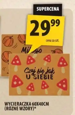Arhelan Wycieraczka oferta