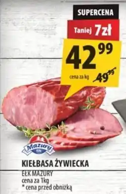 Arhelan Kiełbasa Żywiecka Eek Mazury oferta