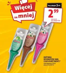 Arhelan Odżywka do kwiatów oferta