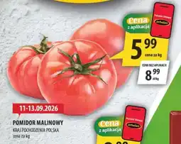 Arhelan Pomidor Malinowy oferta