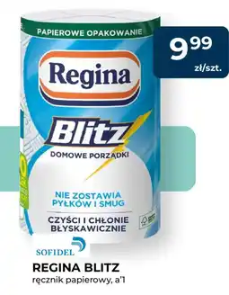 Mrówka Regina Blitz ręcznik papierowy oferta