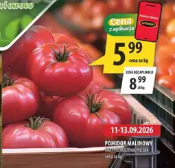 Arhelan Pomidor Malinowy oferta