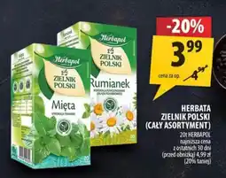 Arhelan Herbata Zielnik Polski oferta