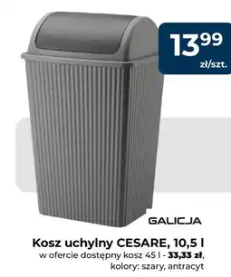Mrówka Kosz uchylny CESARE oferta