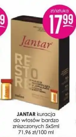 Jaśmin Jantar kuracja do włosów bardzo zniszczonych oferta