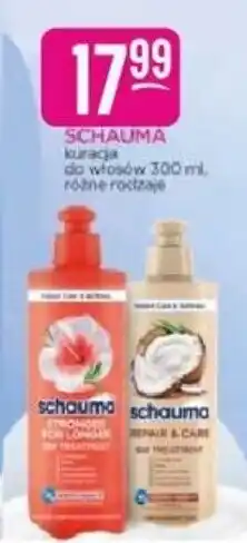Jaśmin Schauma kuracja do włosów oferta