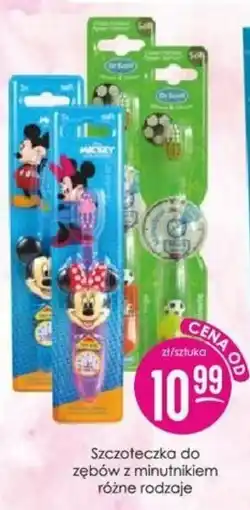 Jaśmin Szczoteczka do zębów z minutnikiem różne rodzaje oferta