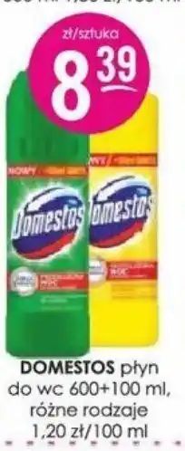 Jaśmin Domestos płyn do wc oferta